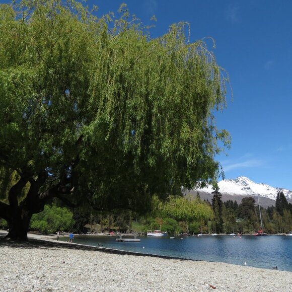 Canon SX40HS 12MP beautiful camera, with 35X Optical Zoom and accessories - Picture 11 of 14